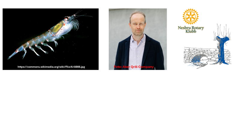 2.november 2026: Krill og internasjonal forvaltning av Sørishavet